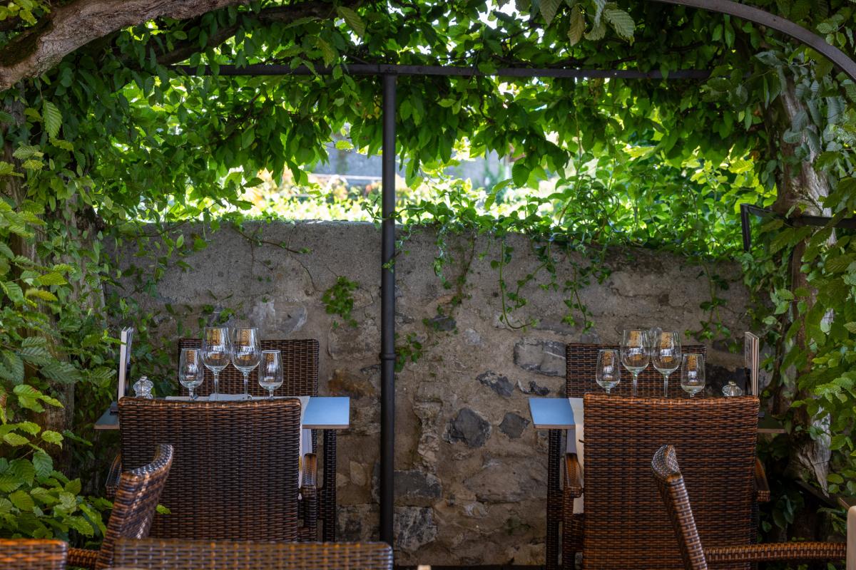 Magnifique terrasse ombragée à l'ombre des marronniers à Morges au bord du lac 